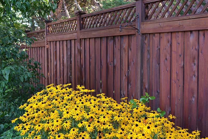 Stained fence | ICC Floors