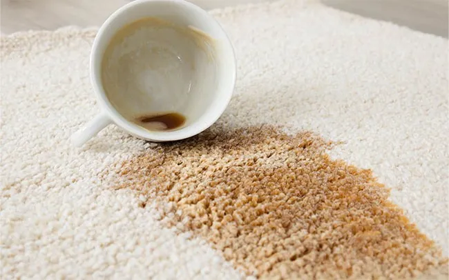 area-rug-care Area Rugs Stain | ICC Floors Plus