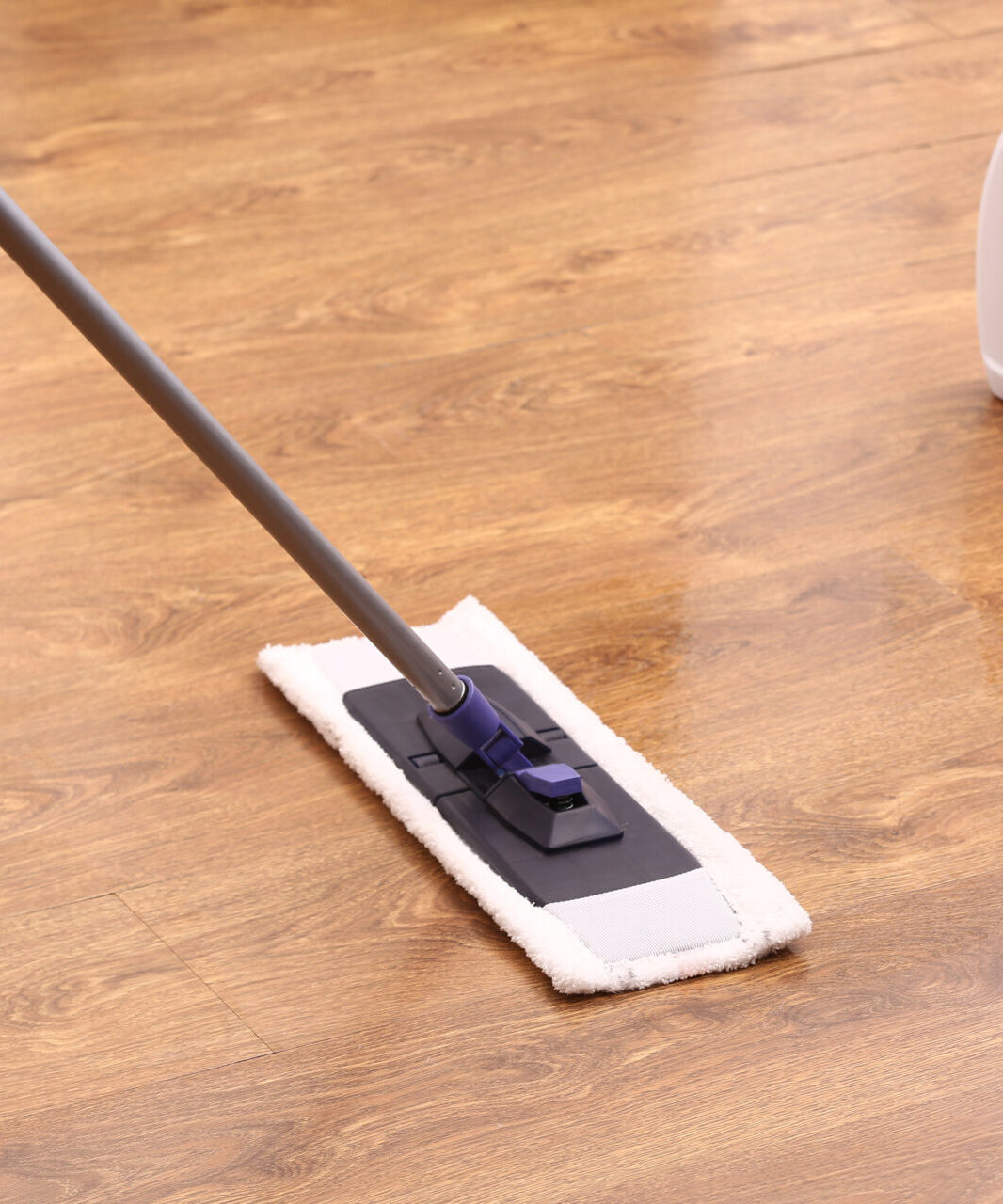 cara hardwood e1758645691406 - ICC Floors